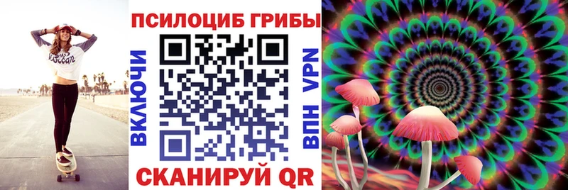 Галлюциногенные грибы GOLDEN TEACHER  Купить где  Карабулак 